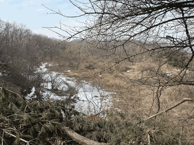 B000250202501300543873.jpg