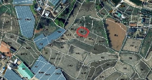 B000250202501300544244.jpg