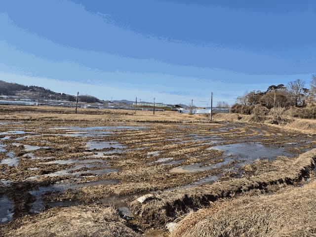 B0002502025013005442413.jpg