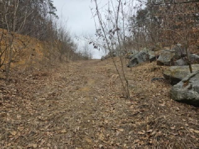 B000250202501300544691.jpg