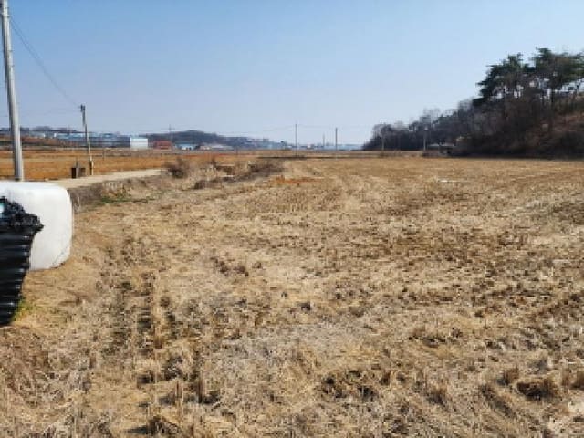 B000250202501300547992.jpg