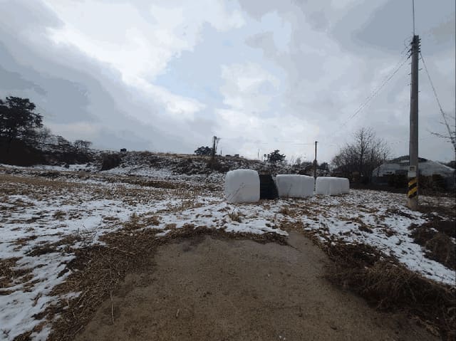 B000250202501300547994.jpg