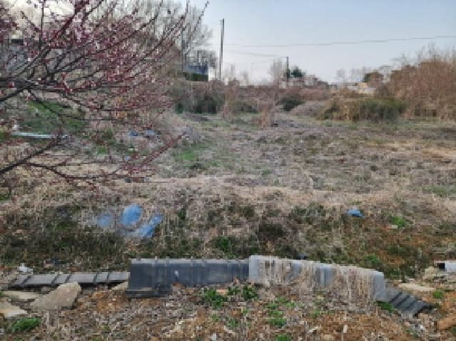B000250202501300549541.jpg