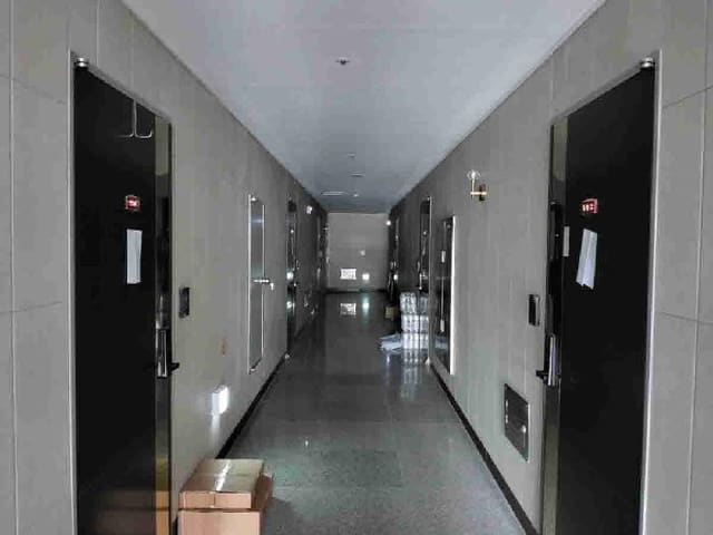 B000250202501300551333.jpg