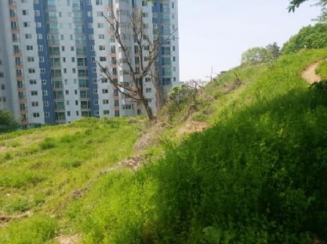 B000250202501300552061.jpg