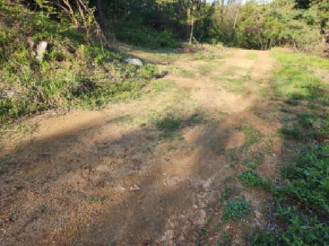 B000250202501300553094.jpg