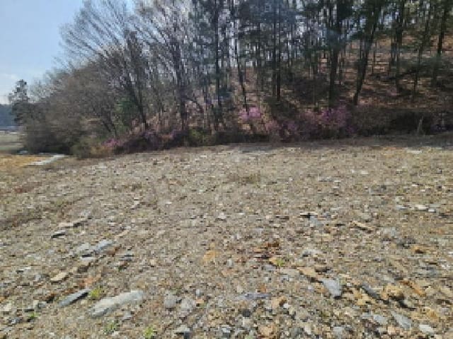 B000250202501300553232.jpg