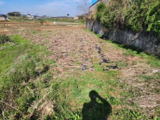 B000250202501300553722.jpg