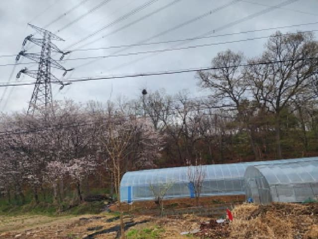 B000250202501300553972.jpg