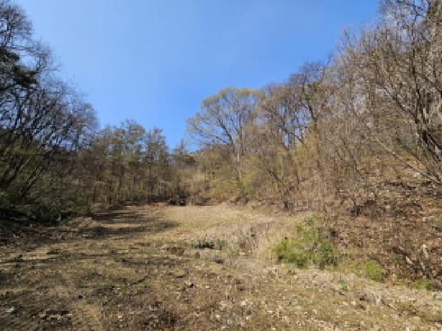 B000250202501300553991.jpg