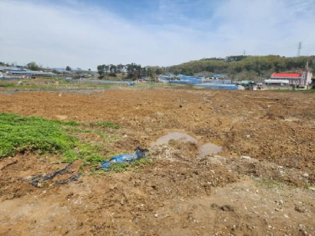 B000250202501300554943.jpg