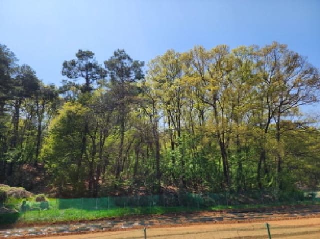 B000250202501300555161.jpg