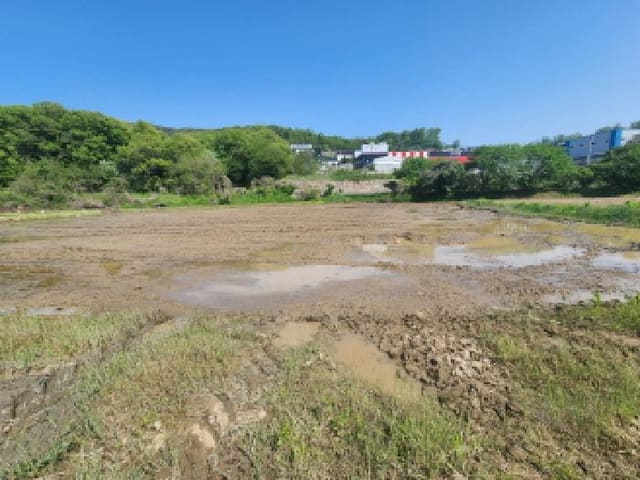 B000250202501300555201.jpg