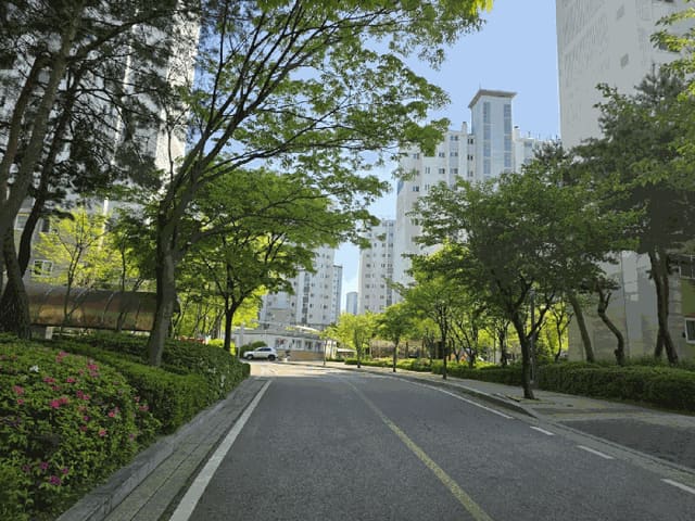 B000250202501300556823.jpg