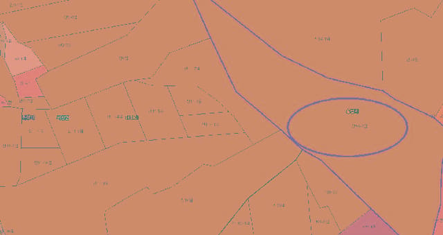 B000250202501300557253.jpg