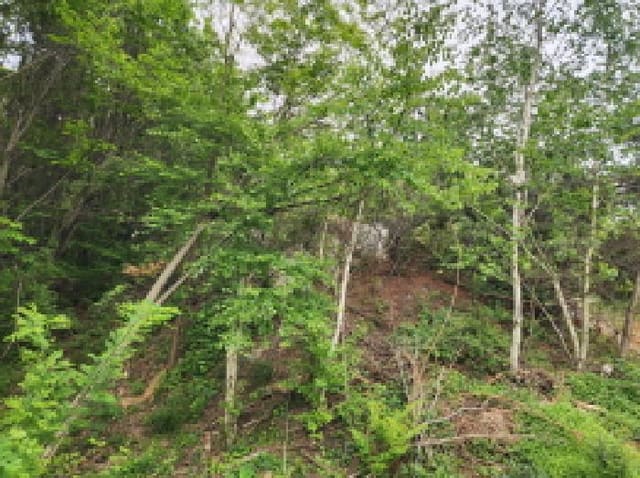 B000250202501300557703.jpg