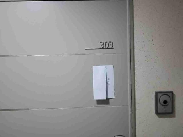 B000250202501300558362.jpg