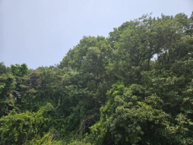 B000250202501300560151.jpg