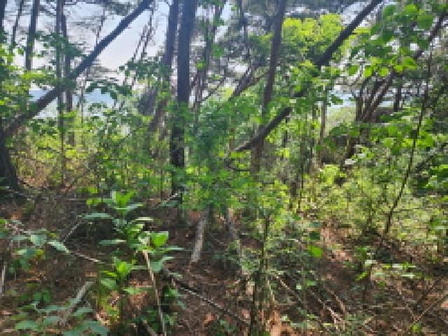 B000250202501300560223.jpg