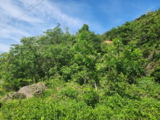 B000250202501300560222.jpg