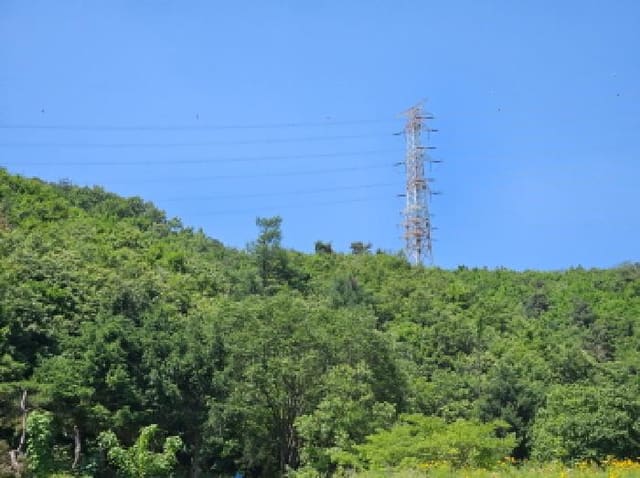 B000250202501300560241.jpg