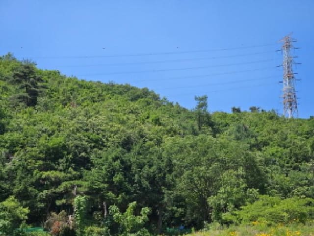 B000250202501300560244.jpg