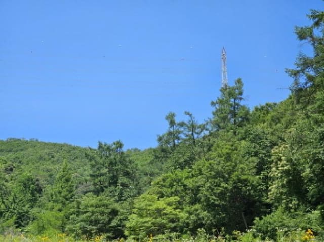 B000250202501300560243.jpg