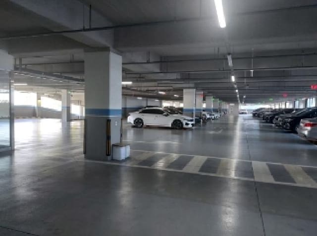 B000250202501300562233.jpg