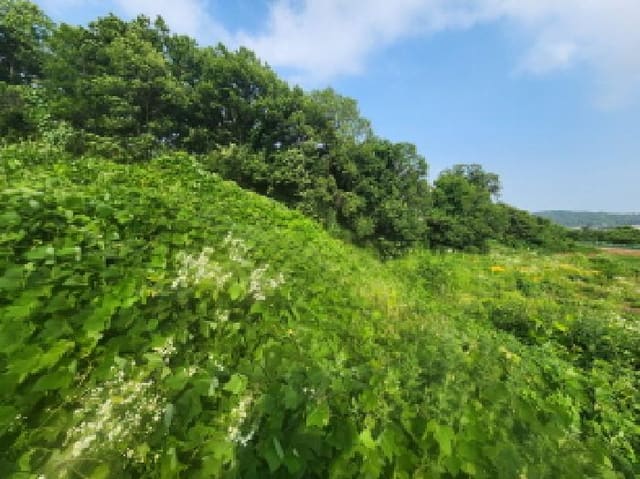 B000250202501300563412.jpg