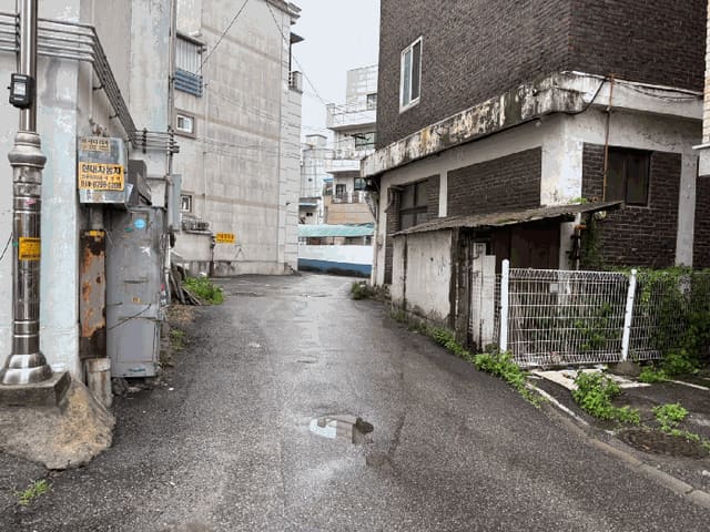 B000250202501300563764.jpg