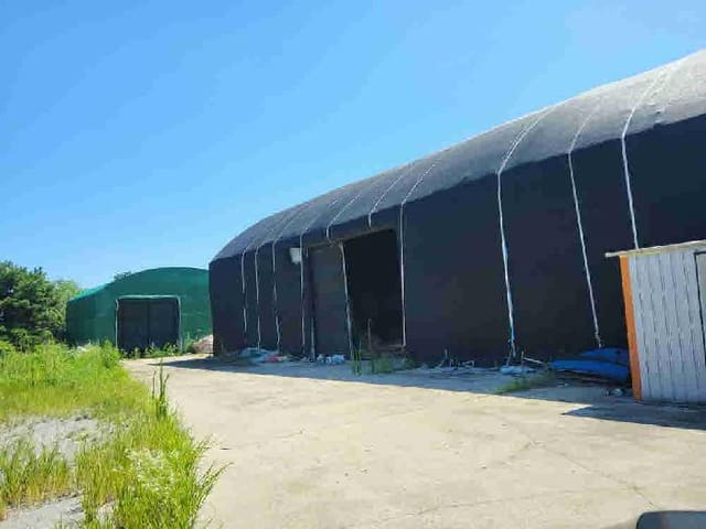B000250202501300568602.jpg