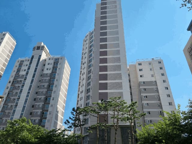B0002502025013005693112.jpg