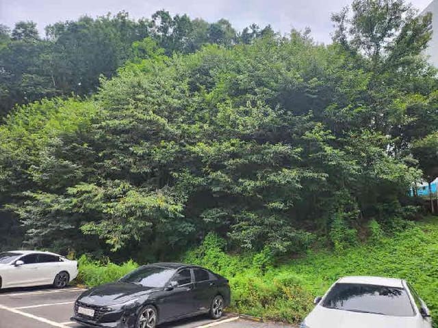 B000250202501300570524.jpg