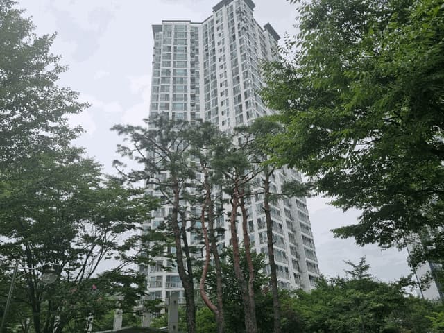 B0002502025013005726210.jpg