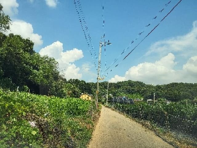 B000250202501300574451.jpg