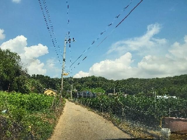 B000250202501300574453.jpg