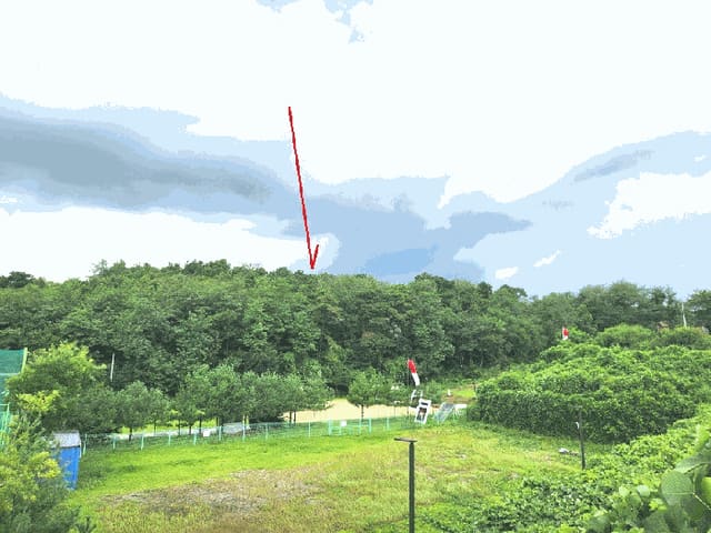 B000250202501300574543.jpg