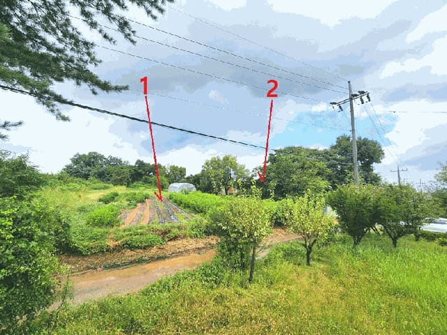B000250202501300575244.jpg