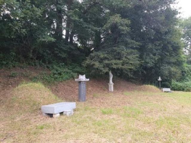 B000250202501300576271.jpg