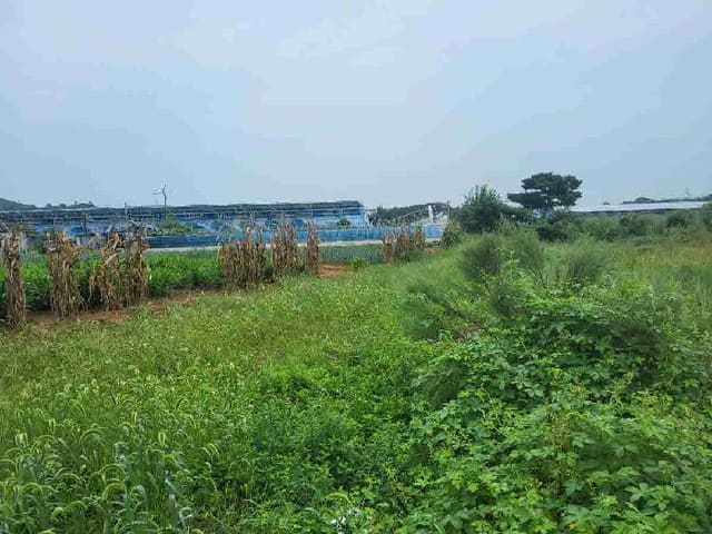 B000250202501300577742.jpg