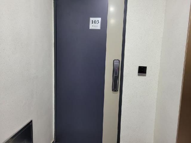 B000250202501300580562.jpg