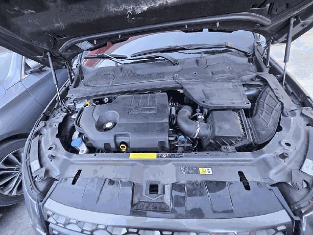 B000250202501300585604.jpg