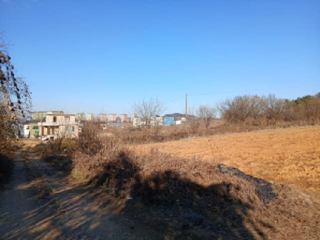 B000250202501300590561.jpg