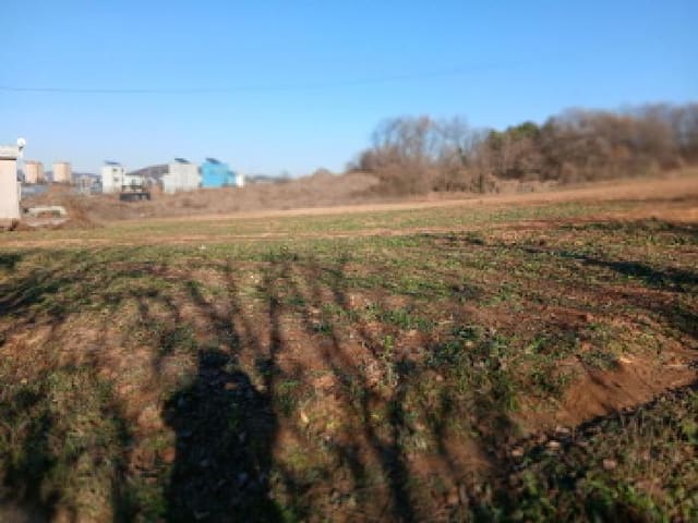 B000250202501300590562.jpg