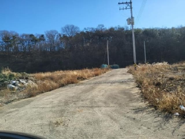 B000250202501300591052.jpg