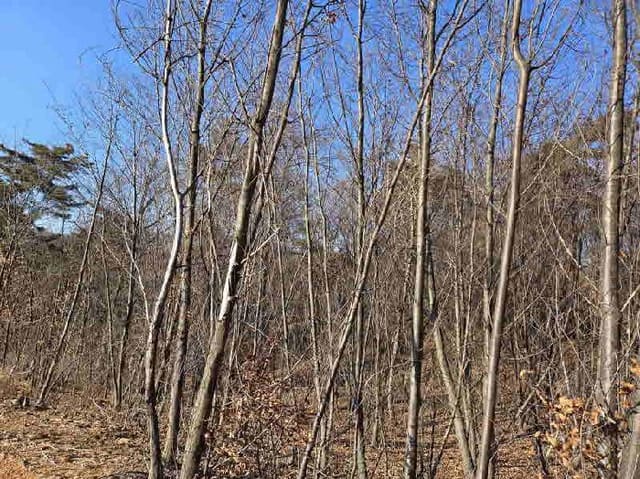 B000250202501300593982.jpg