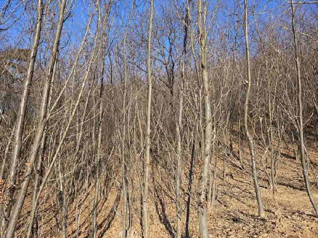 B000250202501300593981.jpg