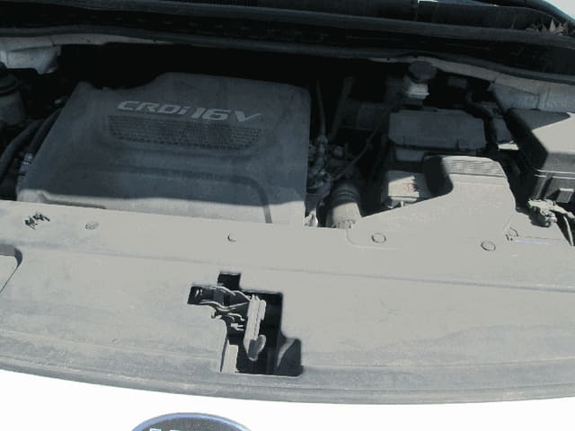 B000250202601300503442.jpg