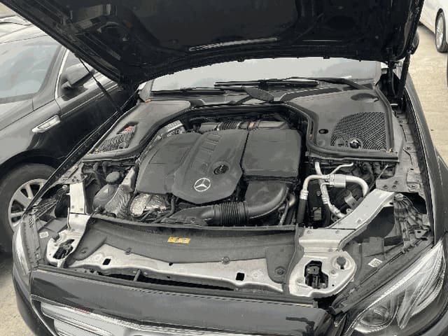 B000250202601300511813.jpg