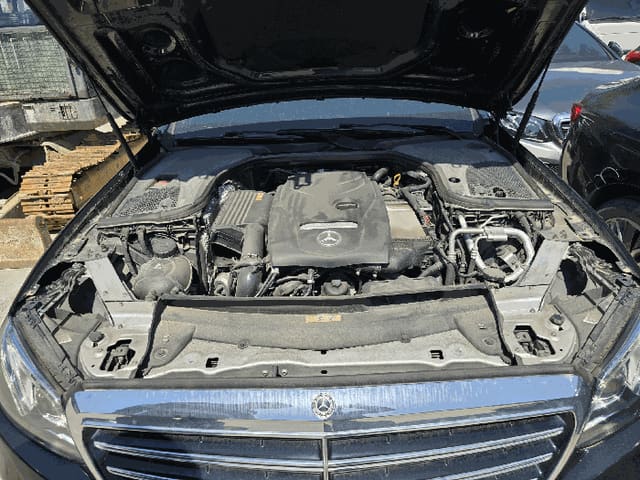B000250202601300513124.jpg